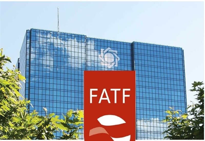 Группа разработки финансовых мер борьбы с отмыванием денег (ФАТФ)